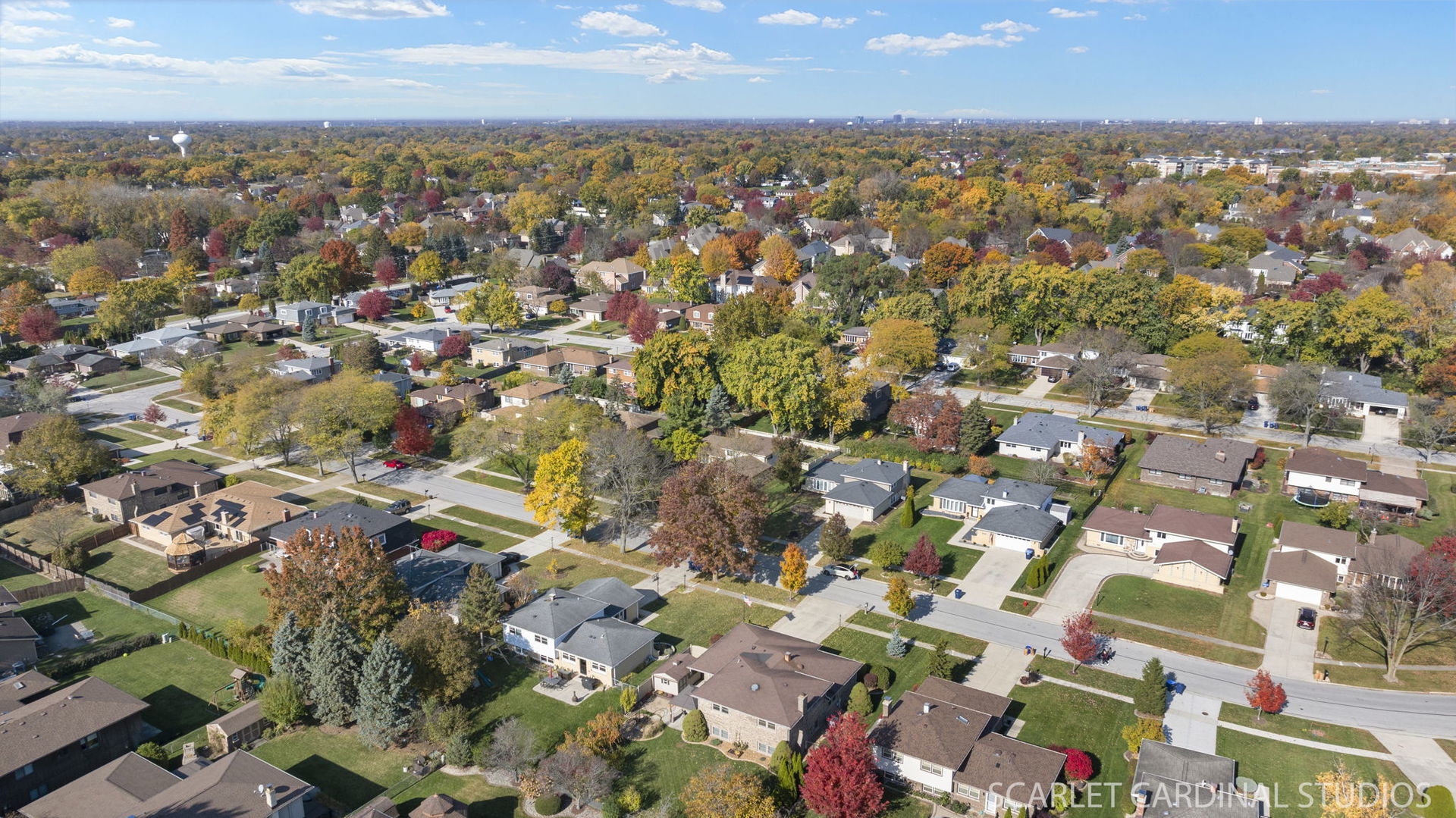 1819 Holly Avenue, Darien, IL 60561