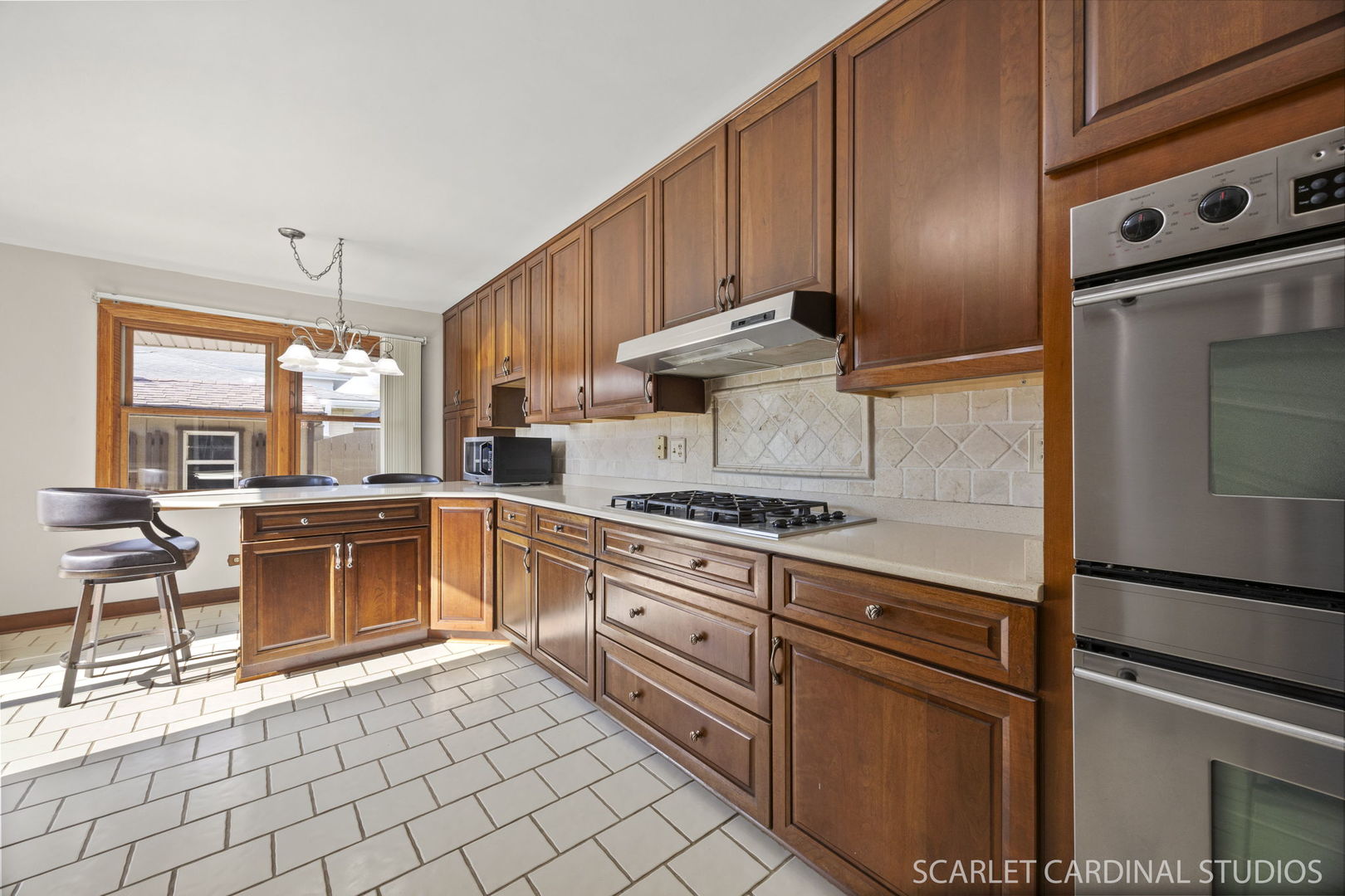 1819 Holly Avenue, Darien, IL 60561