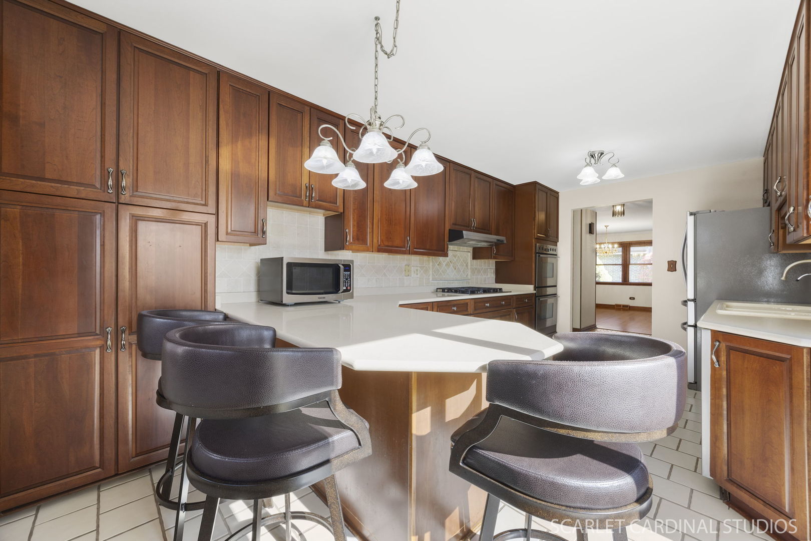 1819 Holly Avenue, Darien, IL 60561