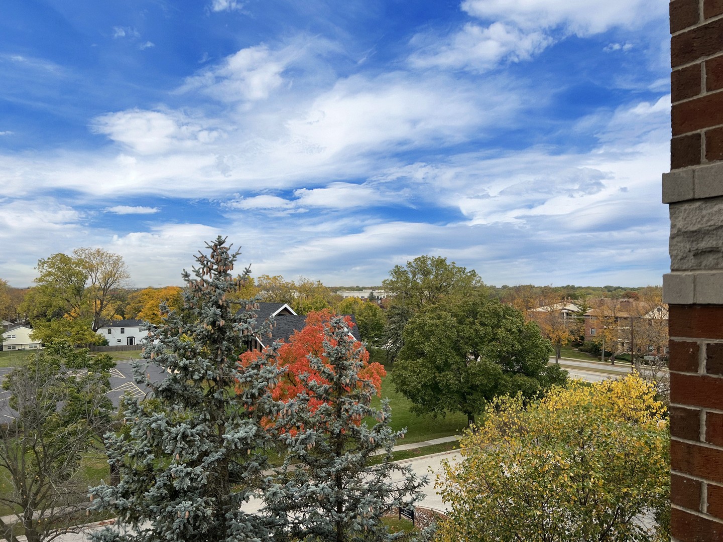 3451 N Carriageway Drive #503, Arlington Heights, IL 60004