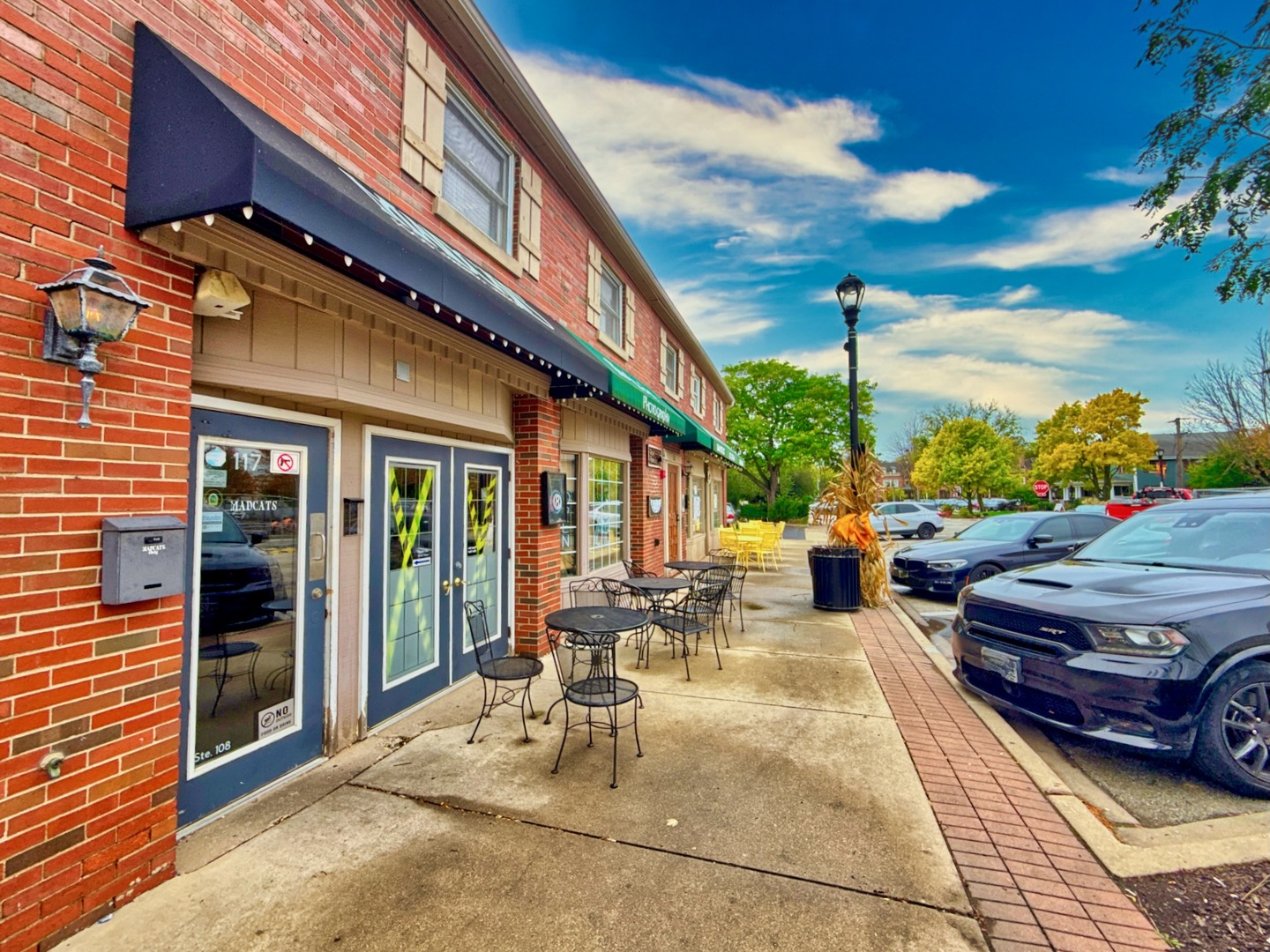 117 W Slade Street, Palatine, IL 60067