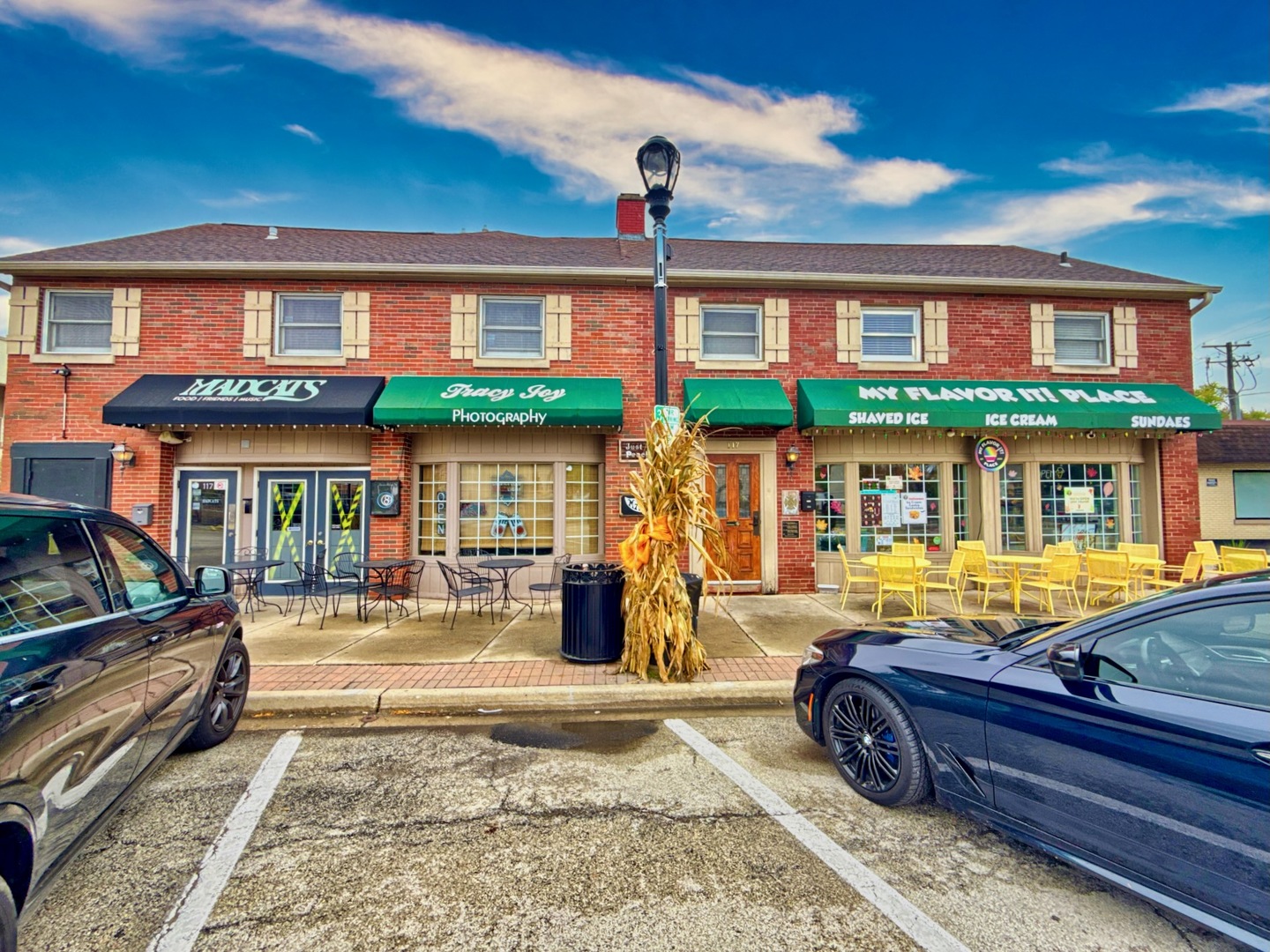 117 W Slade Street, Palatine, IL 60067