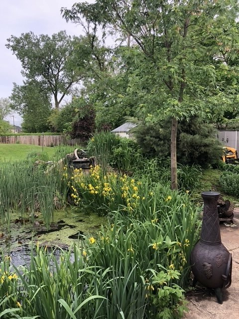 4218 Florence Avenue, Downers Grove, IL 60515