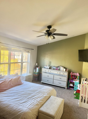 34394 N Goldenrod Court #END, Round Lake, IL 60073