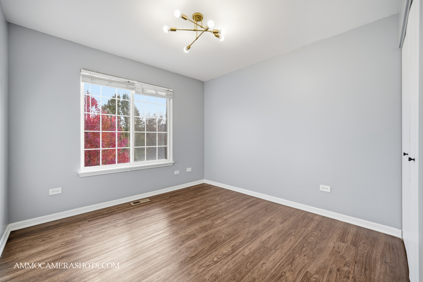 2717 AVALON Lane, Montgomery, IL 60538