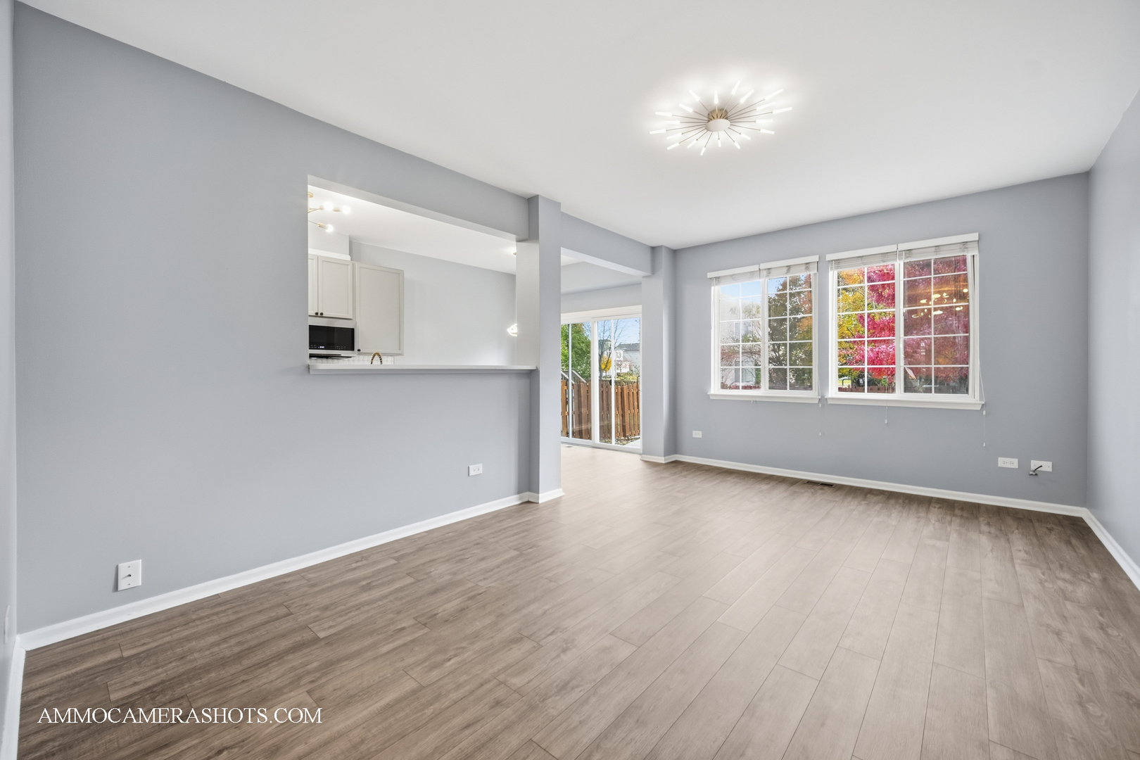 2717 AVALON Lane, Montgomery, IL 60538