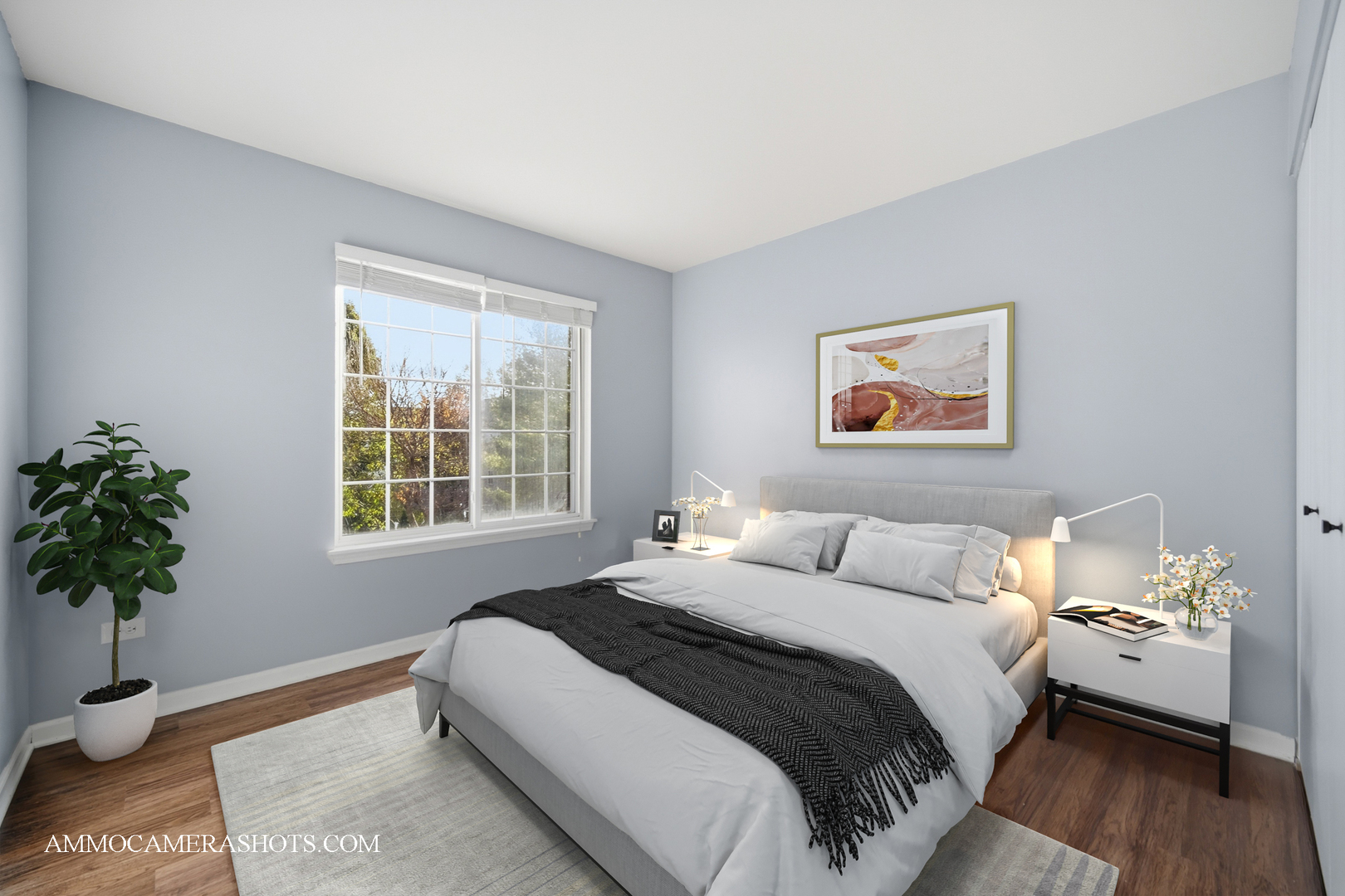 2717 AVALON Lane, Montgomery, IL 60538