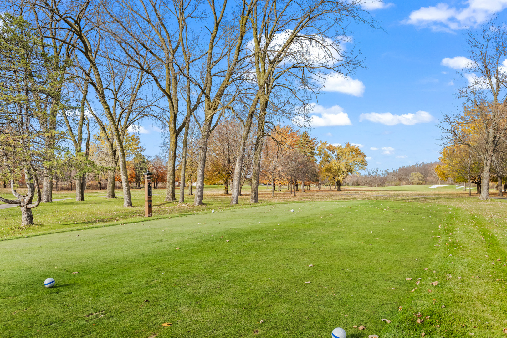 145 Rivershire Lane, Lincolnshire, IL 60069