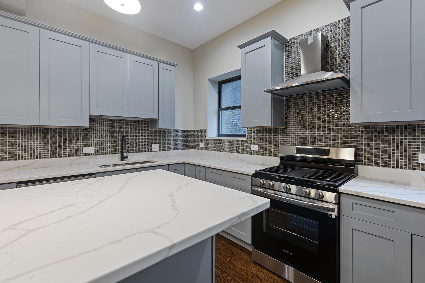 442 E 48th Street #1E, Chicago, IL 60615