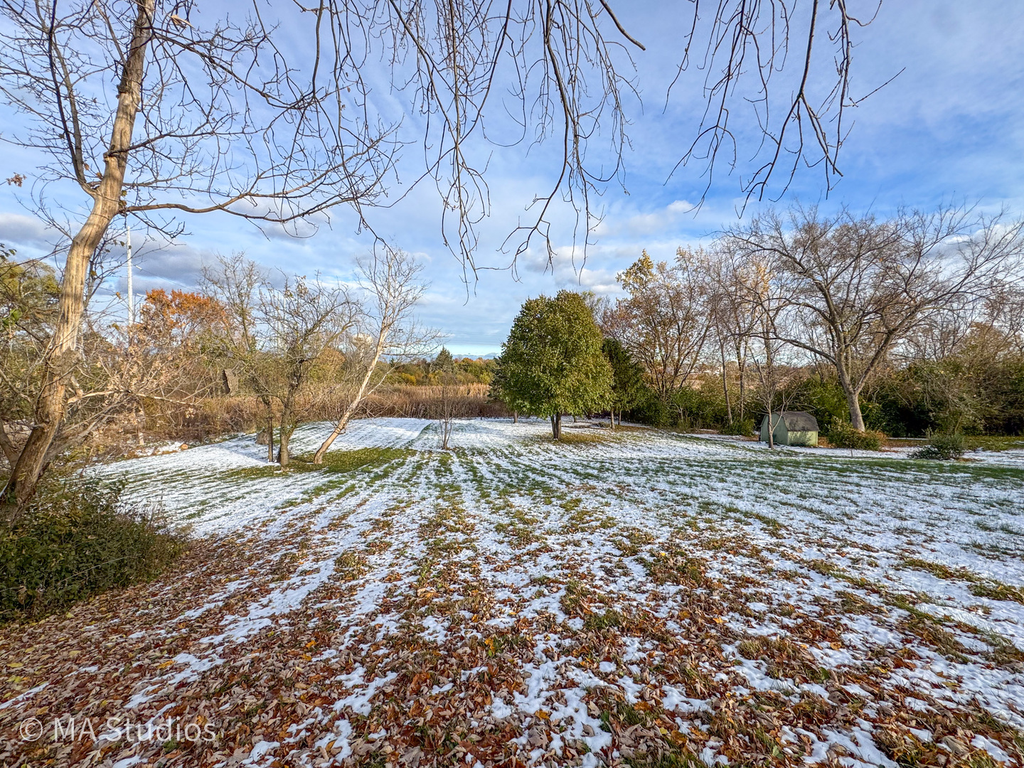 8S057 S Vine Street, Burr Ridge, IL 60527