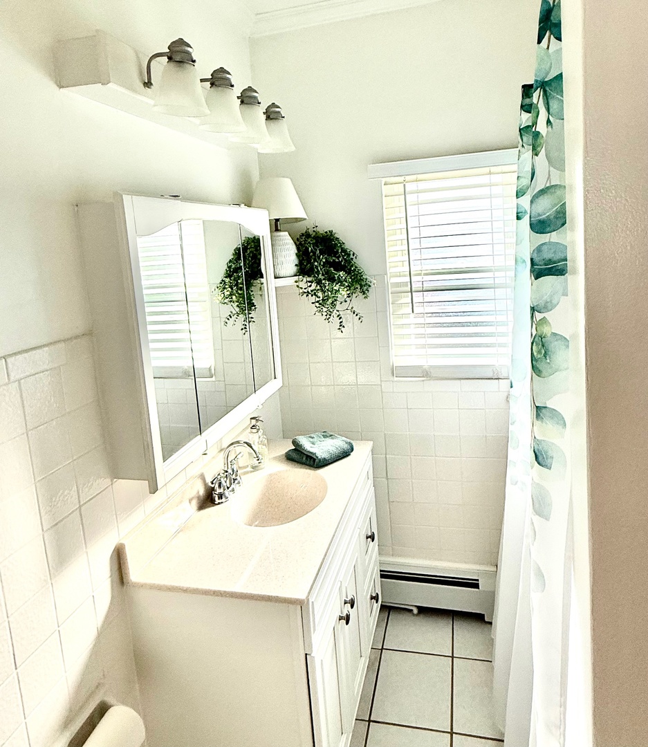 515 S Oakland Avenue, Villa Park, IL 60181