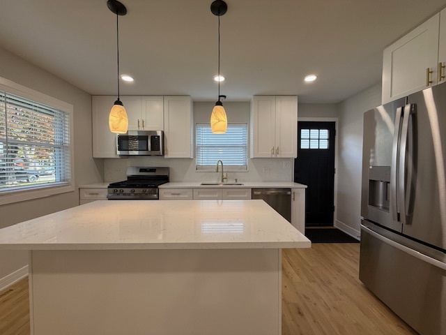 1301 Lois Avenue, Park Ridge, IL 60068