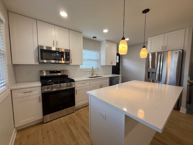 1301 Lois Avenue, Park Ridge, IL 60068