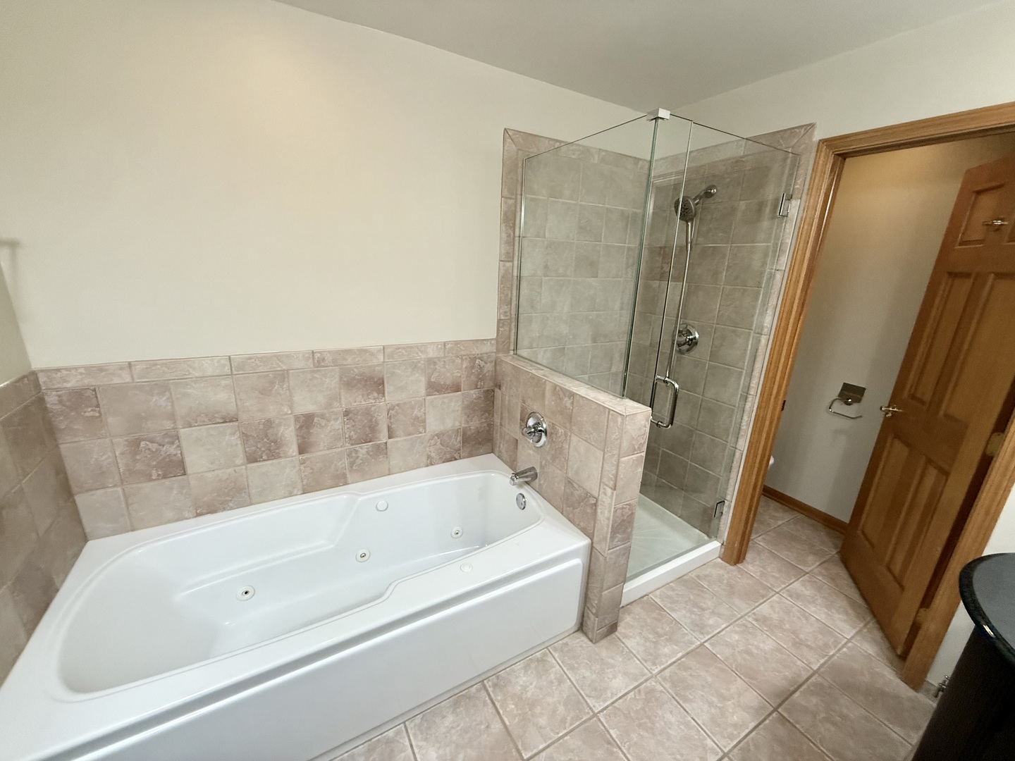 153 Fulbright Lane, Schaumburg, IL 60194