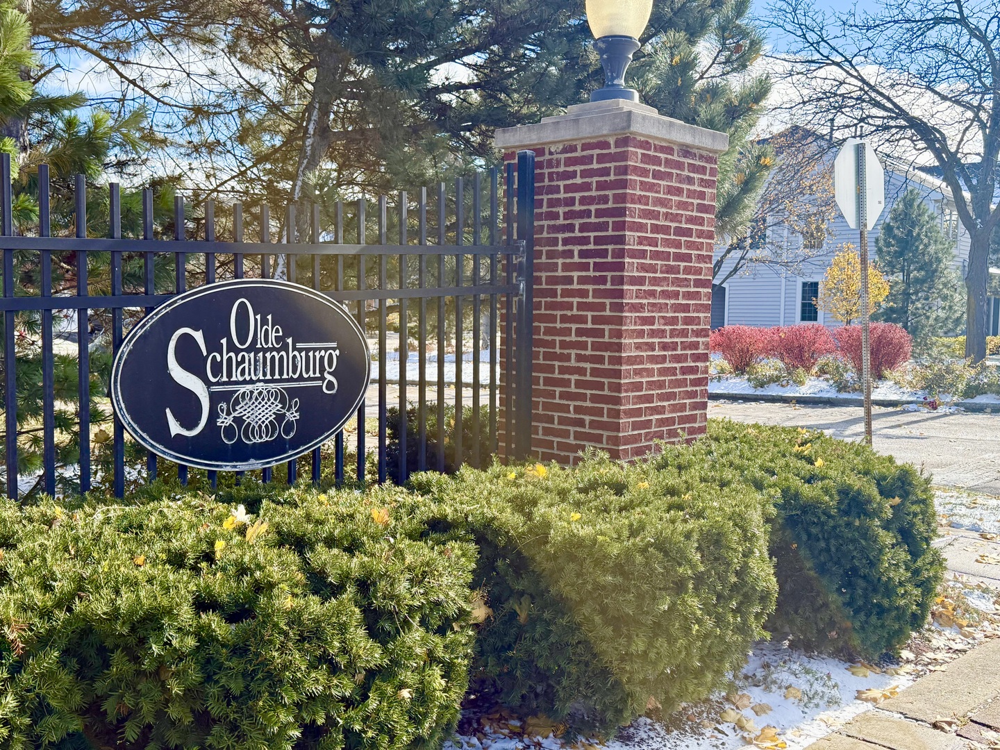 153 Fulbright Lane, Schaumburg, IL 60194