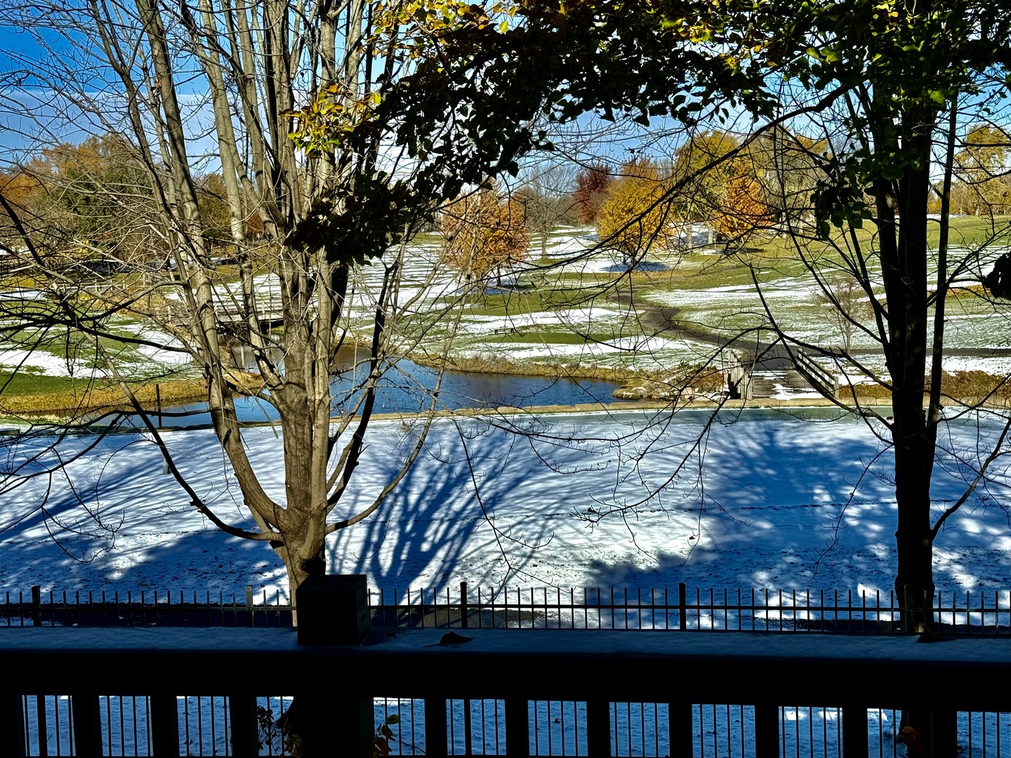 153 Fulbright Lane, Schaumburg, IL 60194