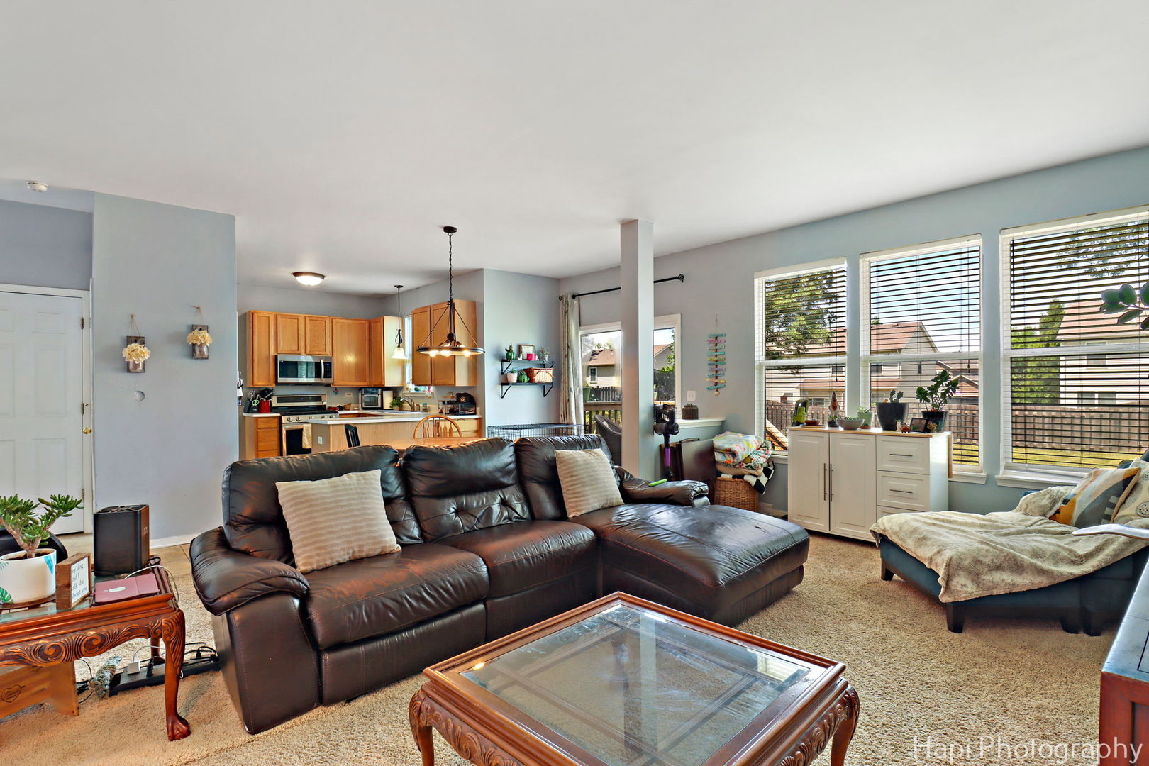 45 Van Dyke Drive, Antioch, IL 60002