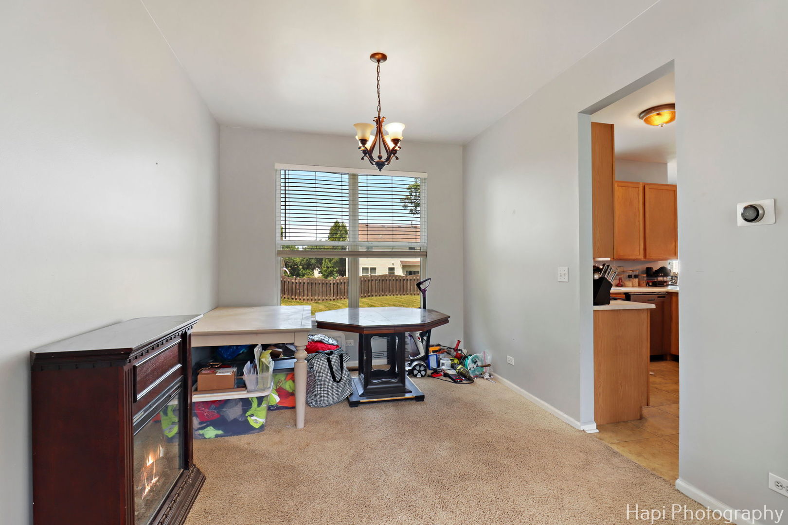 45 Van Dyke Drive, Antioch, IL 60002