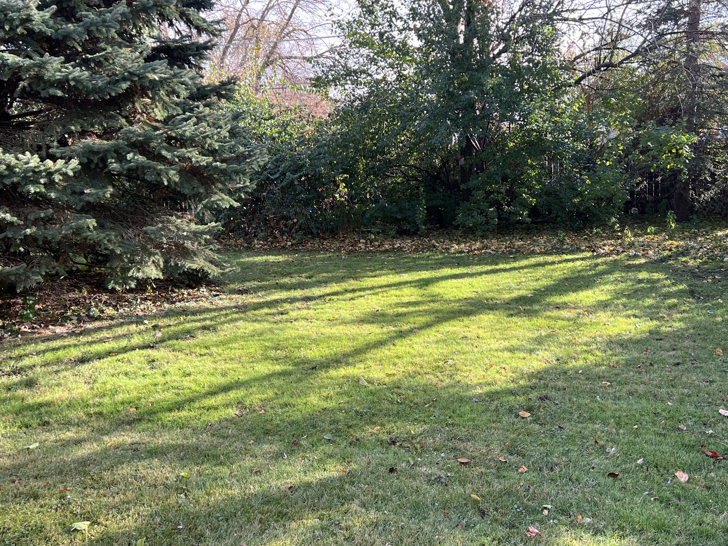 9711 Mclean Avenue, Melrose Park, IL 60164