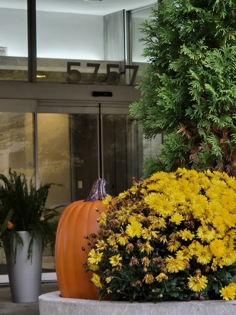 5757 N Sheridan Road #3J, Chicago, IL 60660