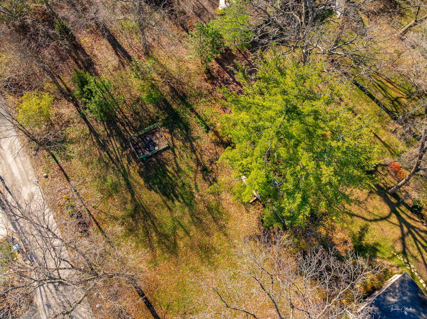 1901 Curtiss Street, Downers Grove, IL 60515