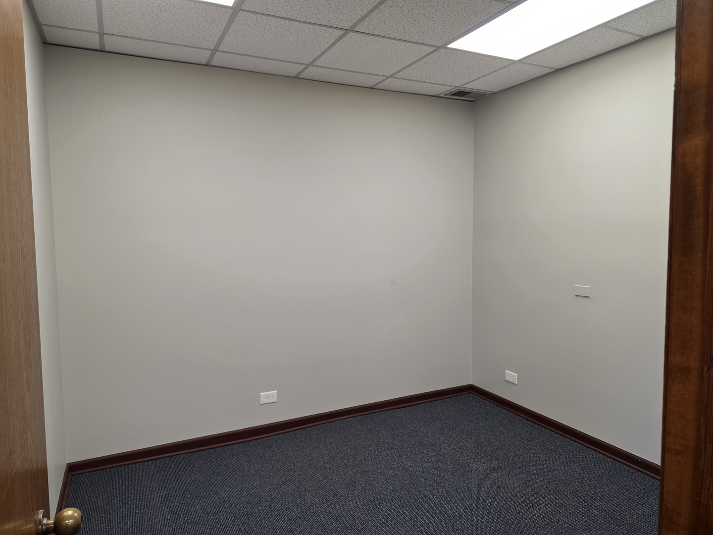 501 W Ogden Avenue #4, Hinsdale, IL 60521