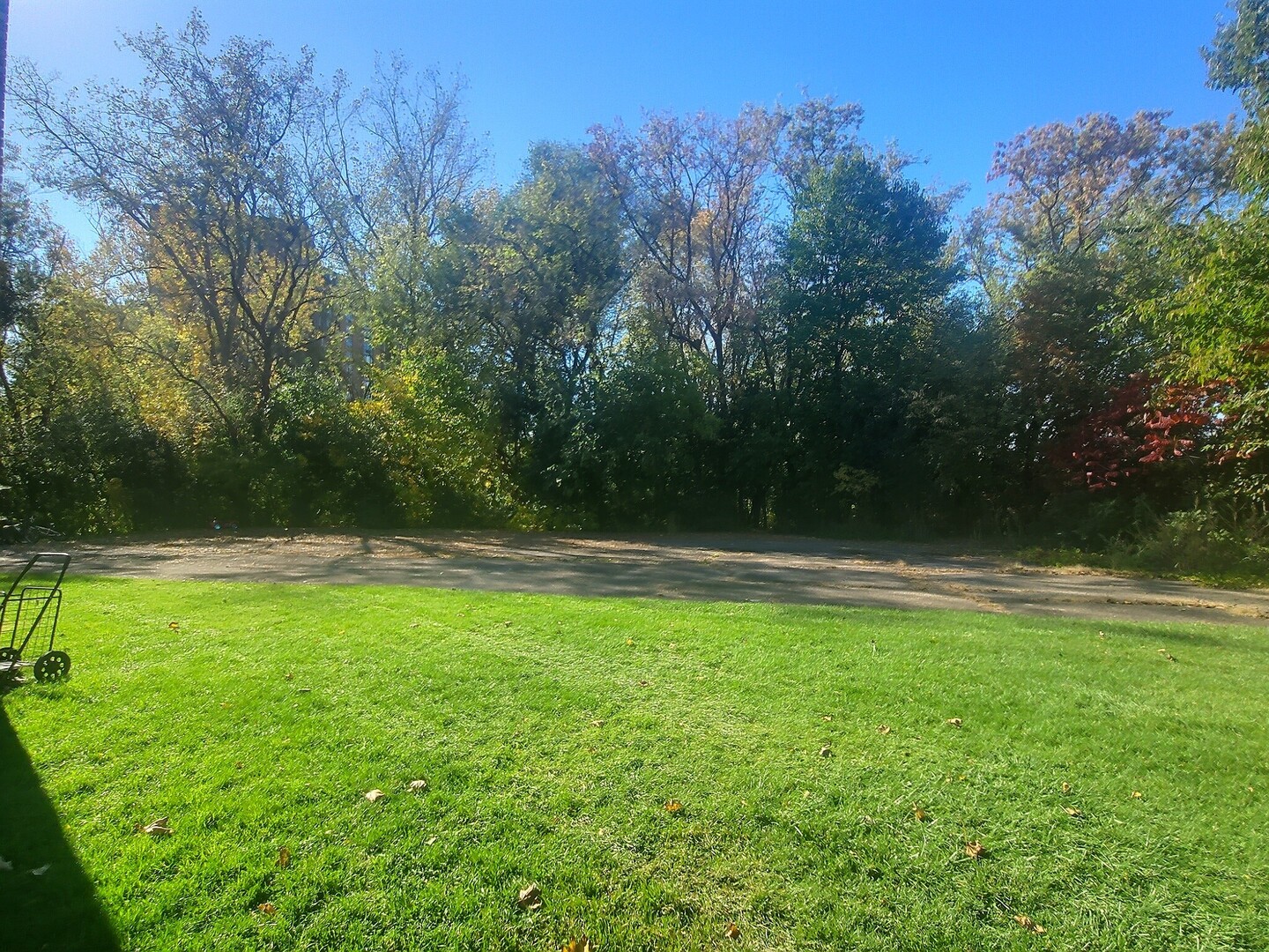 224 E Rimini Court, Palatine, IL 60067