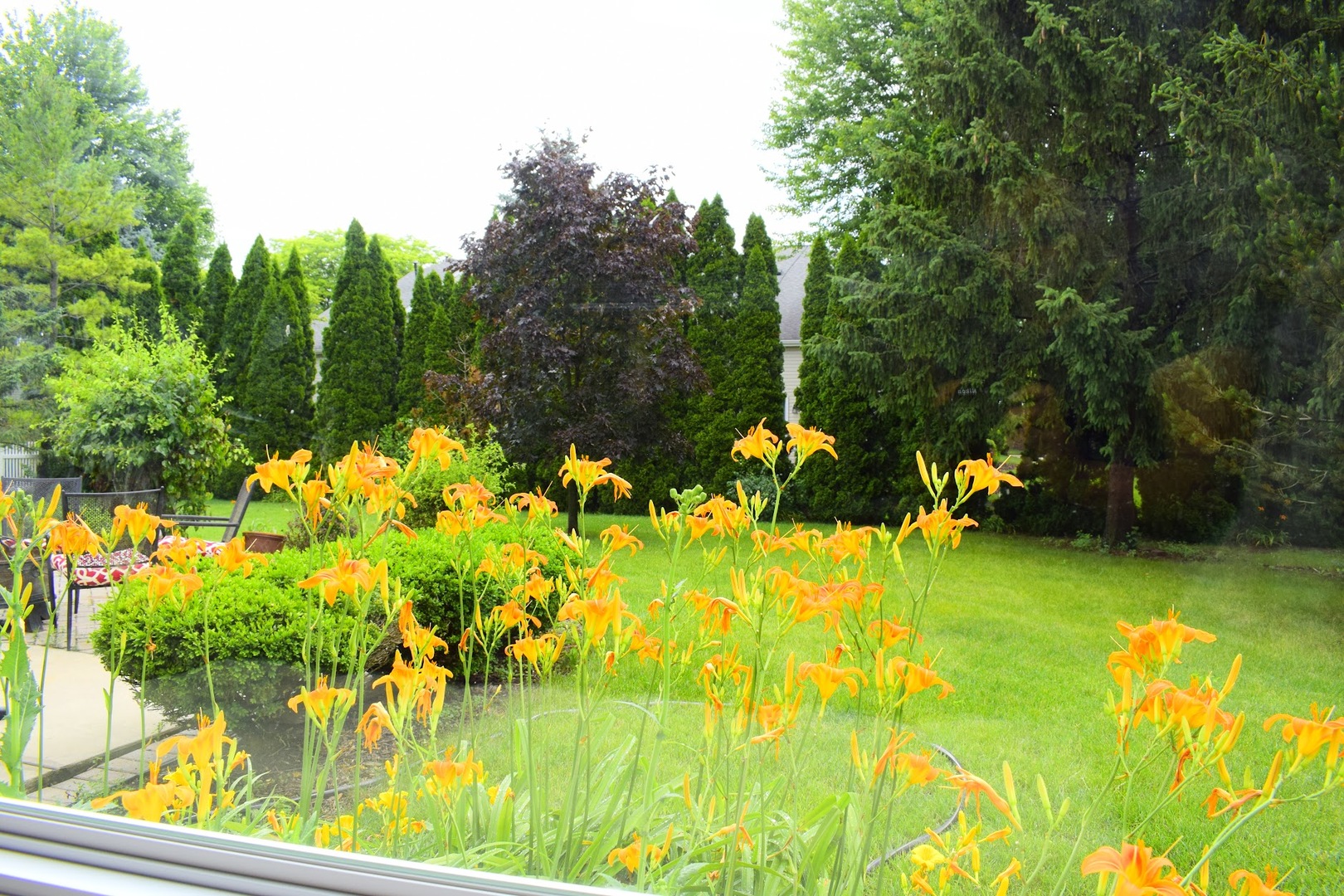 142 N Dixon Drive, Batavia, IL 60510