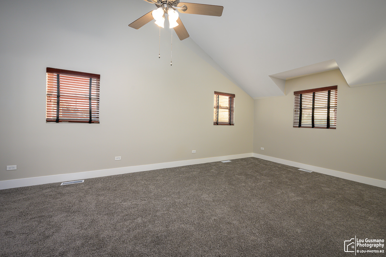 4023 1/2 N Grant Street, Westmont, IL 60559