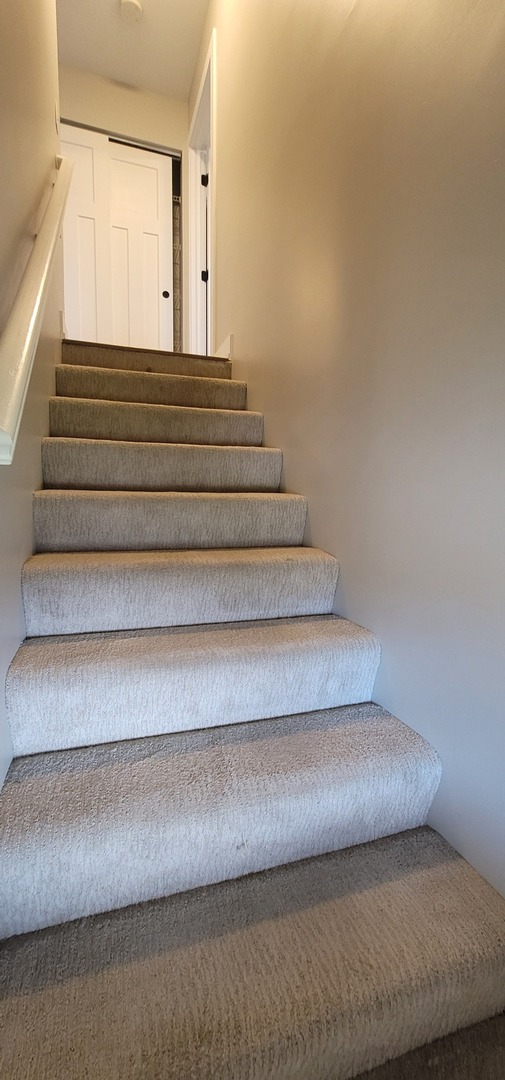 4023 1/2 N Grant Street, Westmont, IL 60559