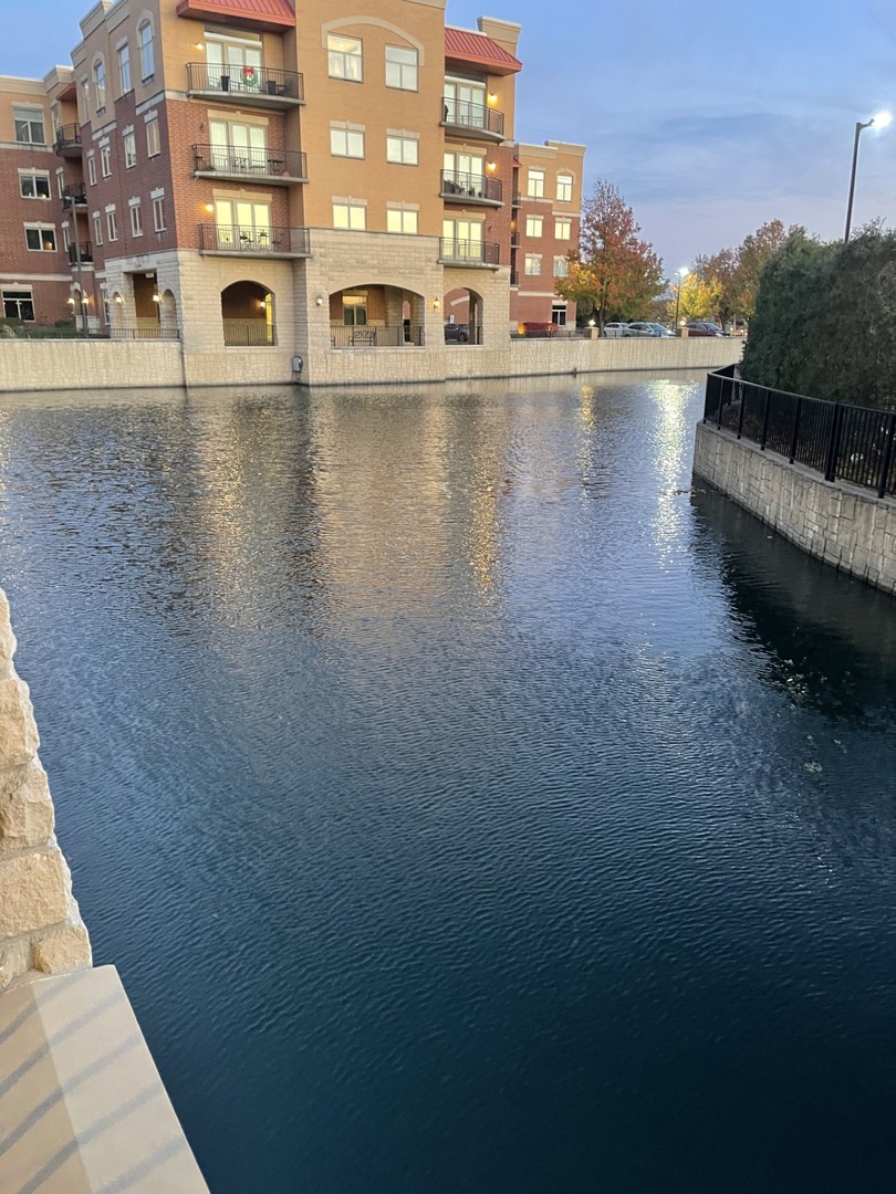 1210 N Foxdale Drive #109, Addison, IL 60101