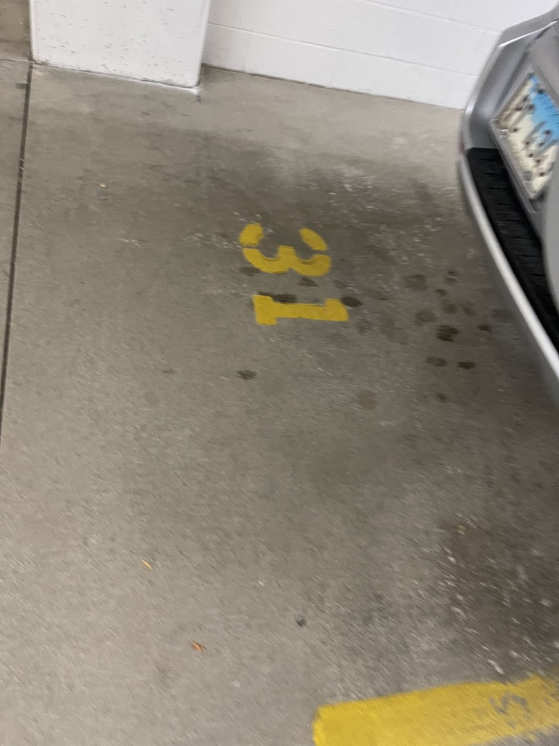 1210 N Foxdale Drive #109, Addison, IL 60101