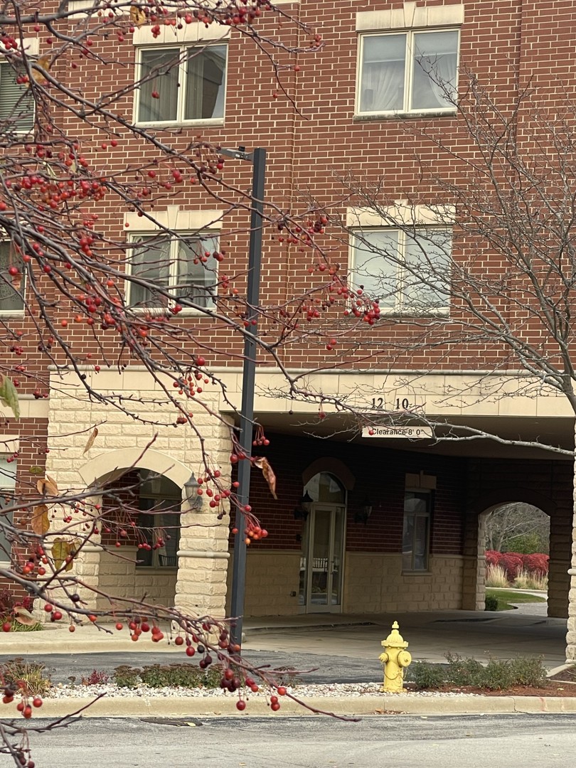 1210 N Foxdale Drive #109, Addison, IL 60101