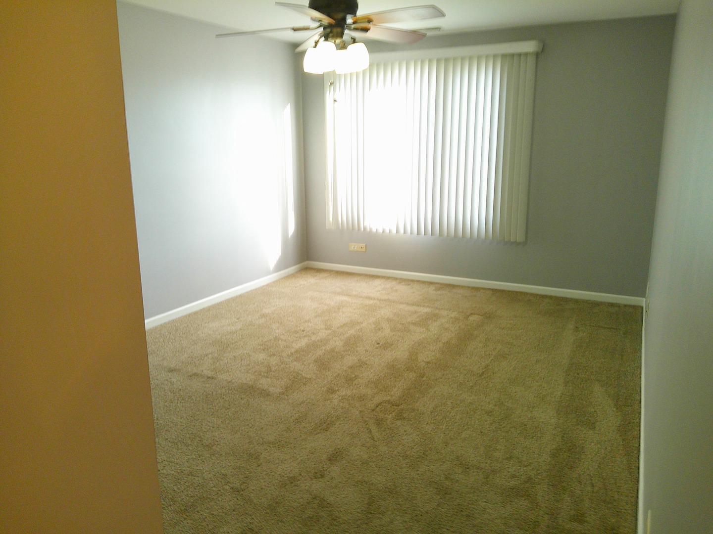 7730 W Dempster Street #209, Morton Grove, IL 60053