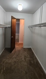 7730 Dempster Street #209, Morton Grove, IL 60053