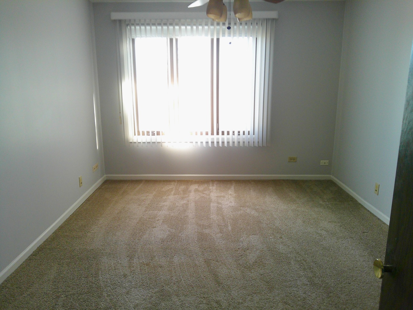 7730 W Dempster Street #209, Morton Grove, IL 60053