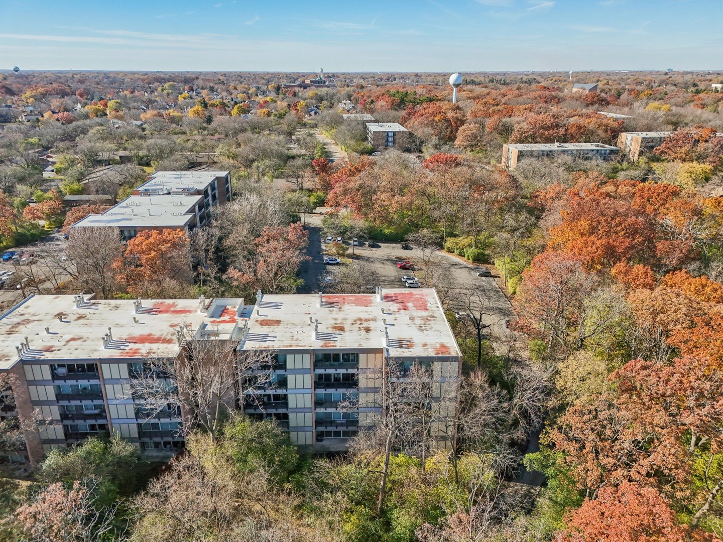 5900 Oakwood Drive #1K, Lisle, IL 60532