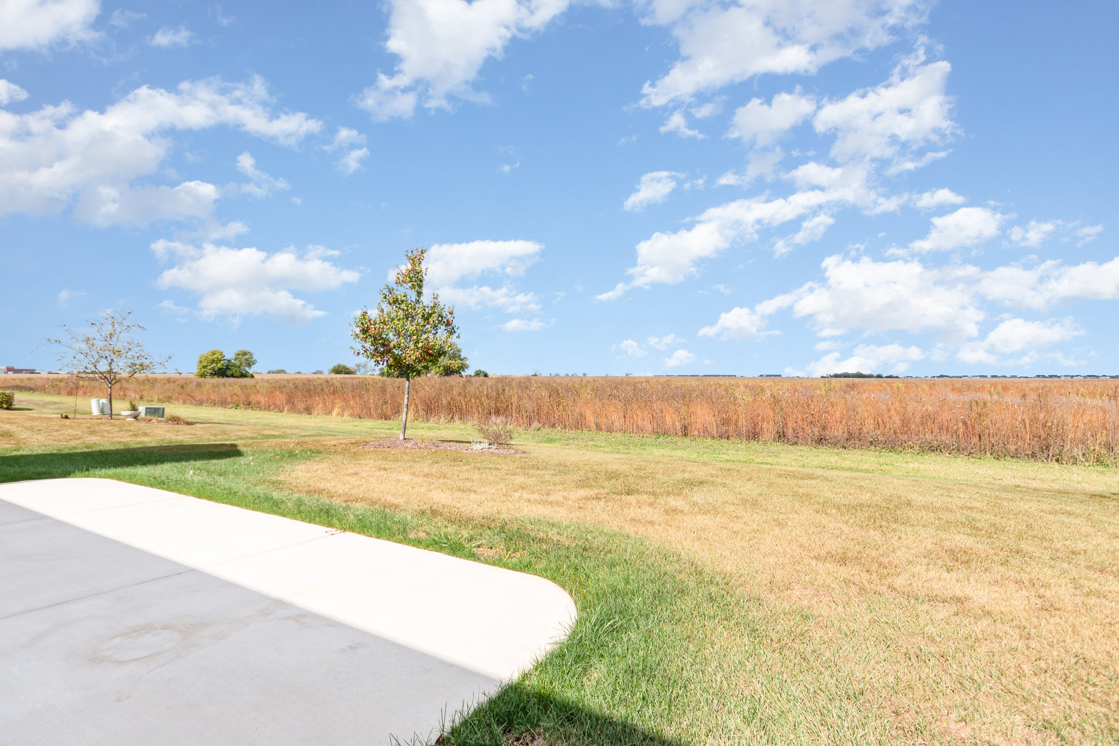 2101 Samantha Joy Lane, Bolingbrook, IL 60490