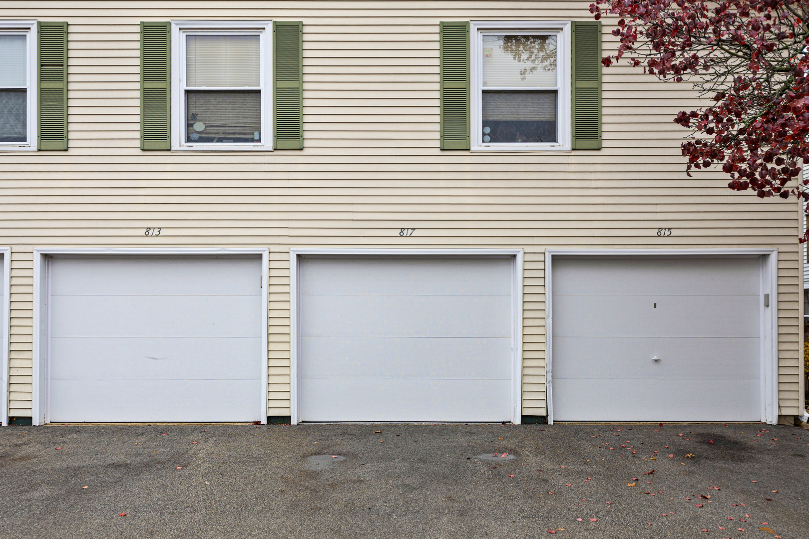 817 Wellington Avenue #817, Elk Grove Village, IL 60007