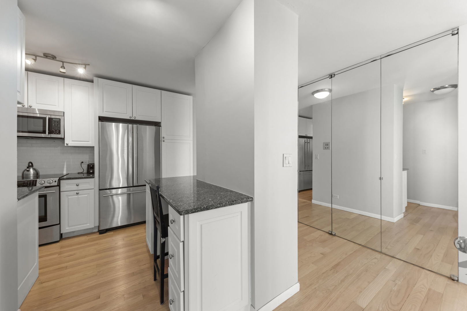 1550 N Lake Shore Drive #17B, Chicago, IL 60610