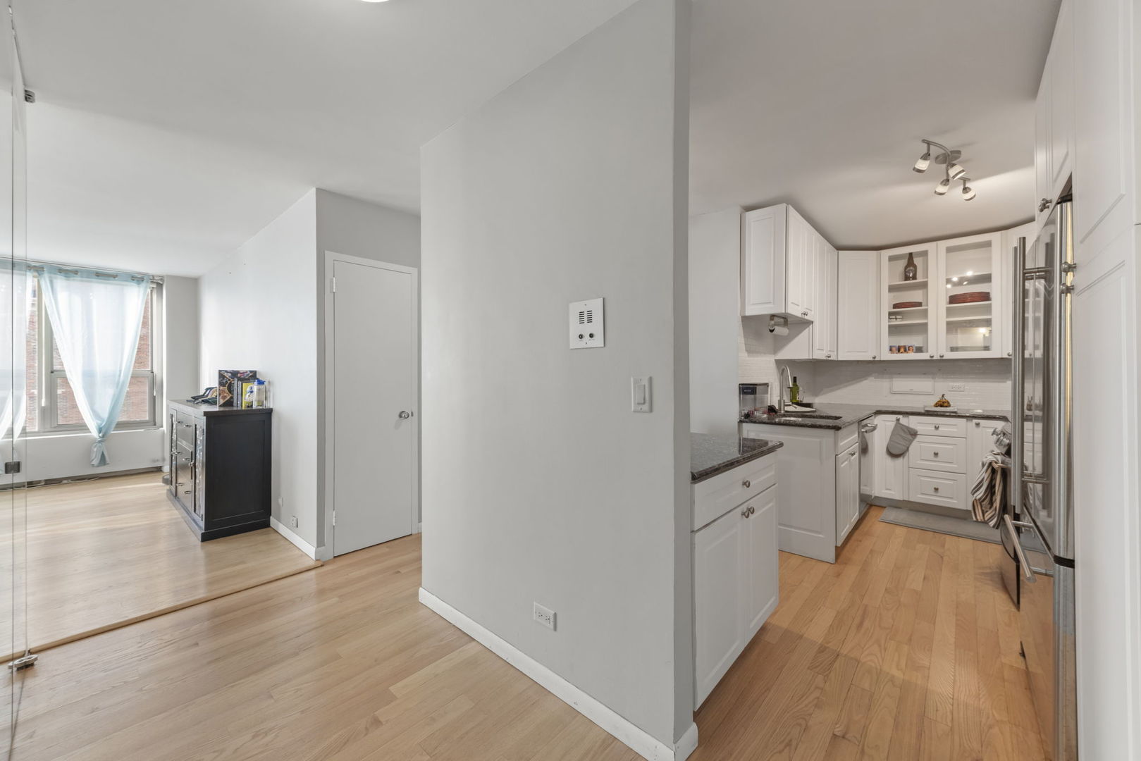 1550 N Lake Shore Drive #17B, Chicago, IL 60610