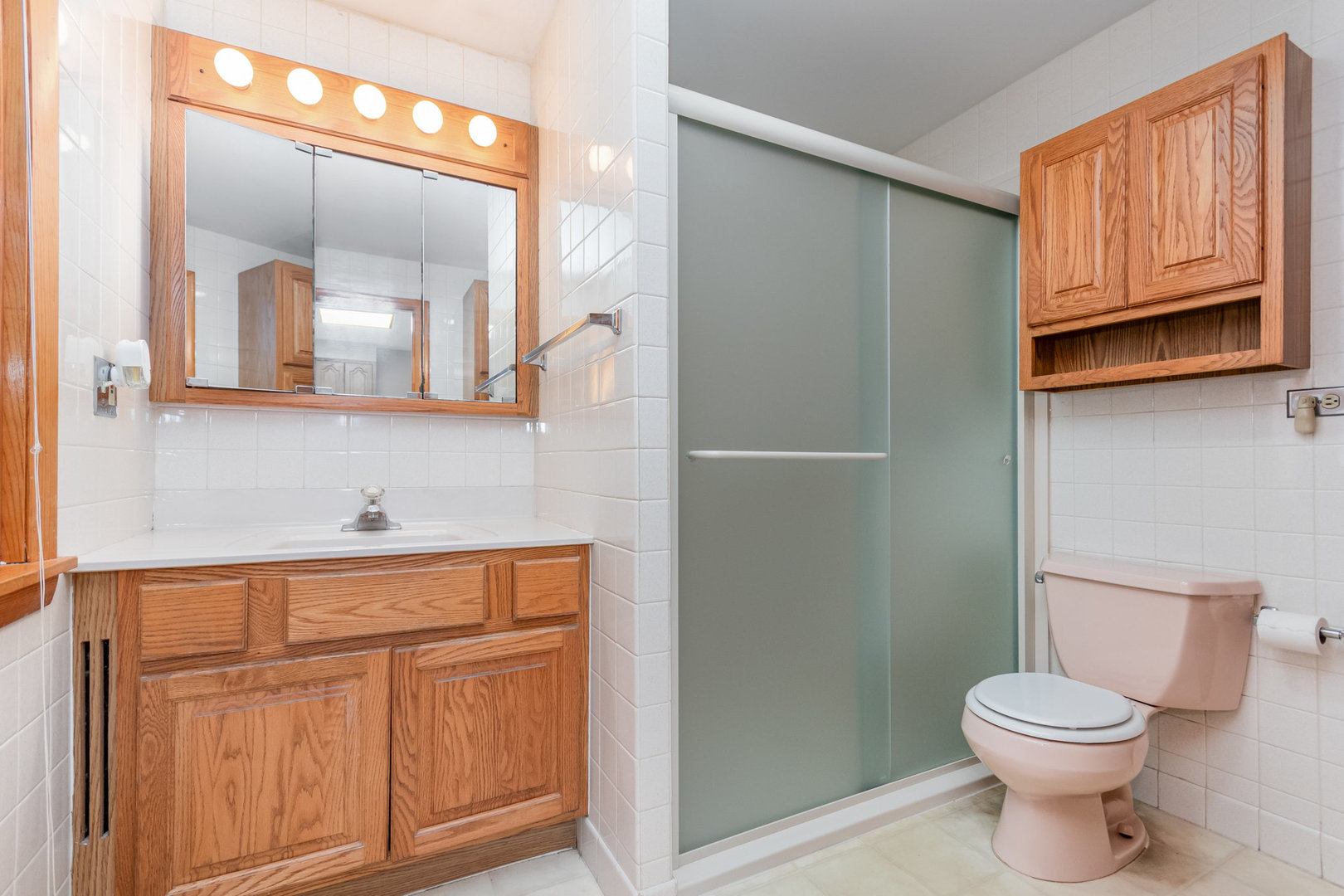 20873 W Rand Court, Palatine, IL 60074