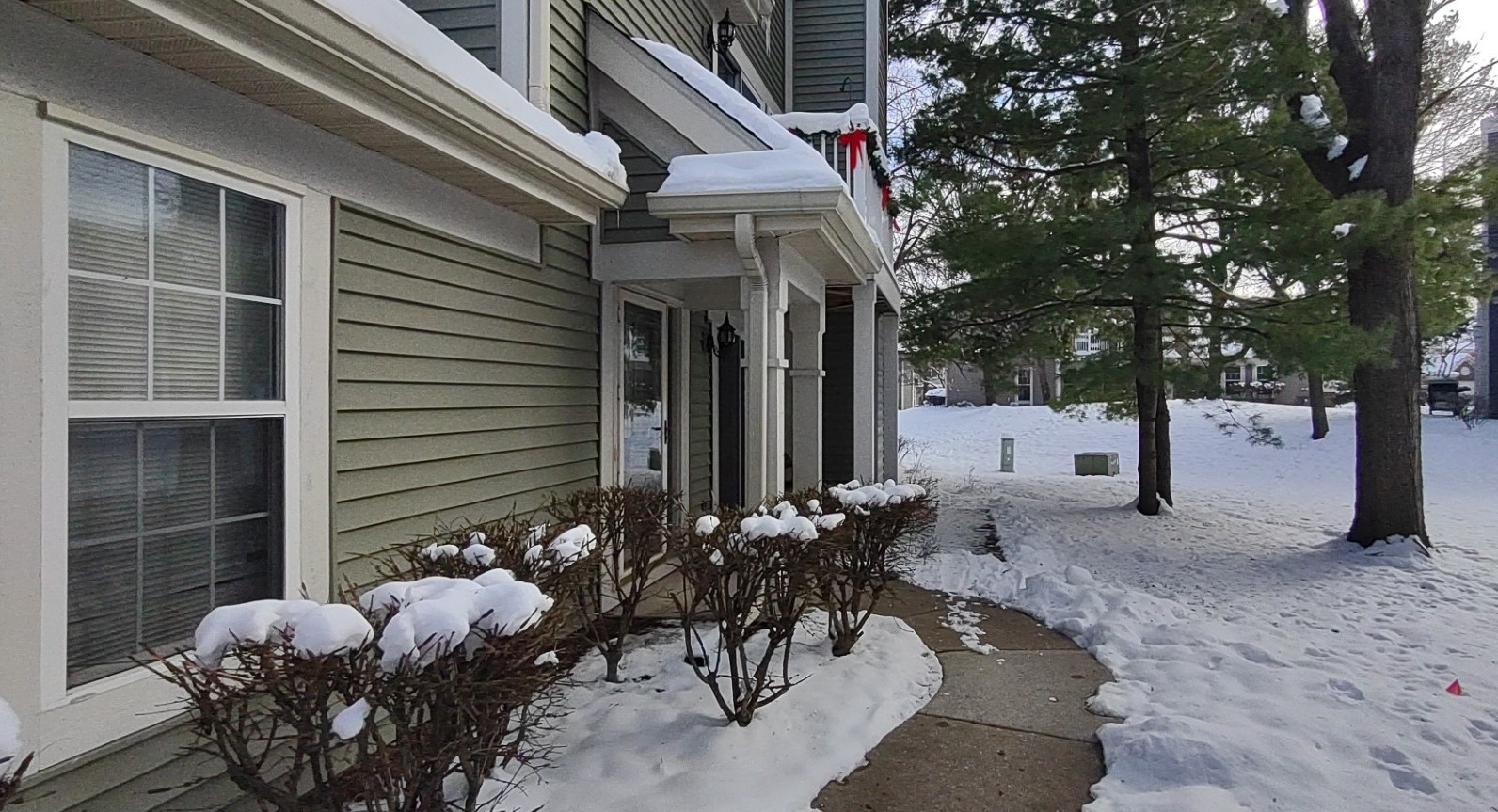 909 Little Falls Court #909, Elk Grove Village, IL 60007