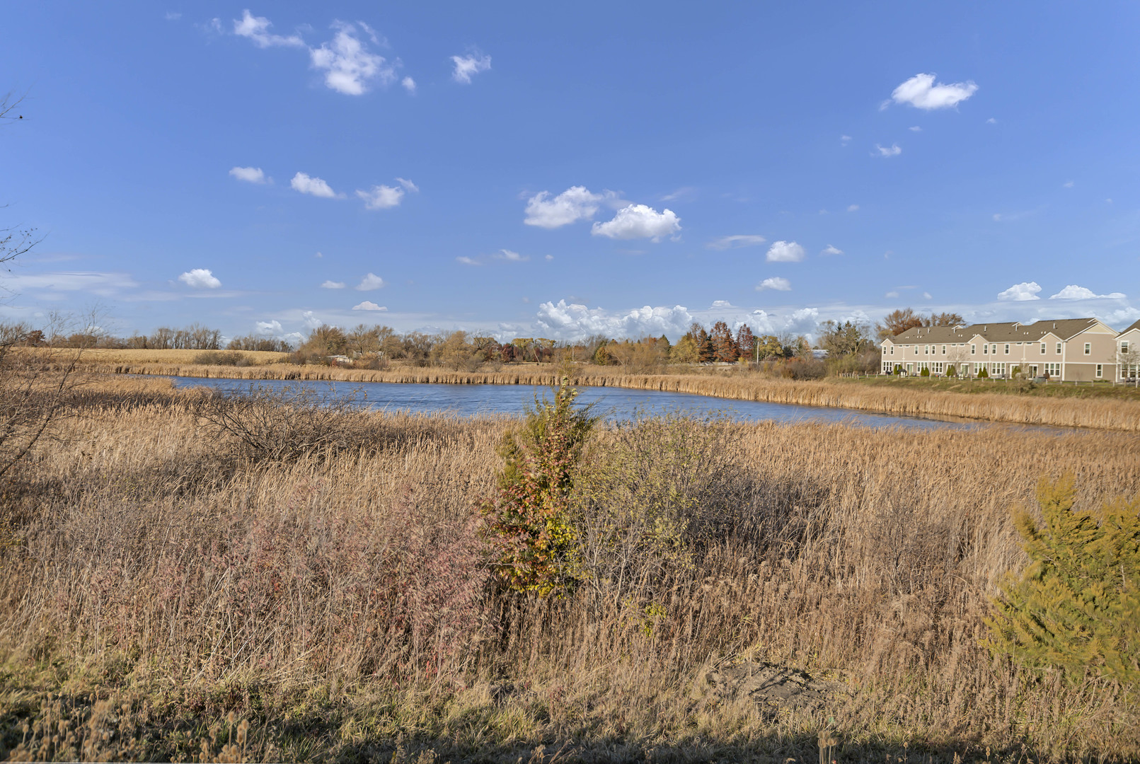 3202 Martini Street, Mundelein, IL 60060