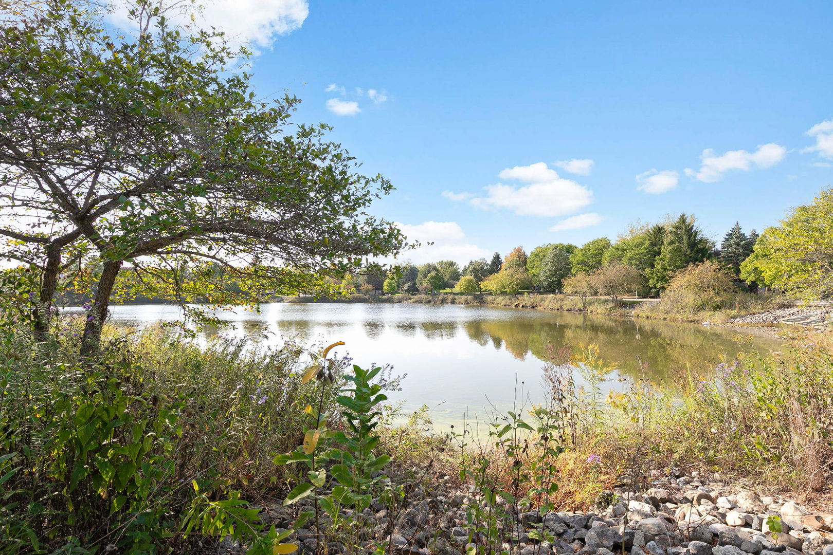 272 Enfield Lane, Grayslake, IL 60030