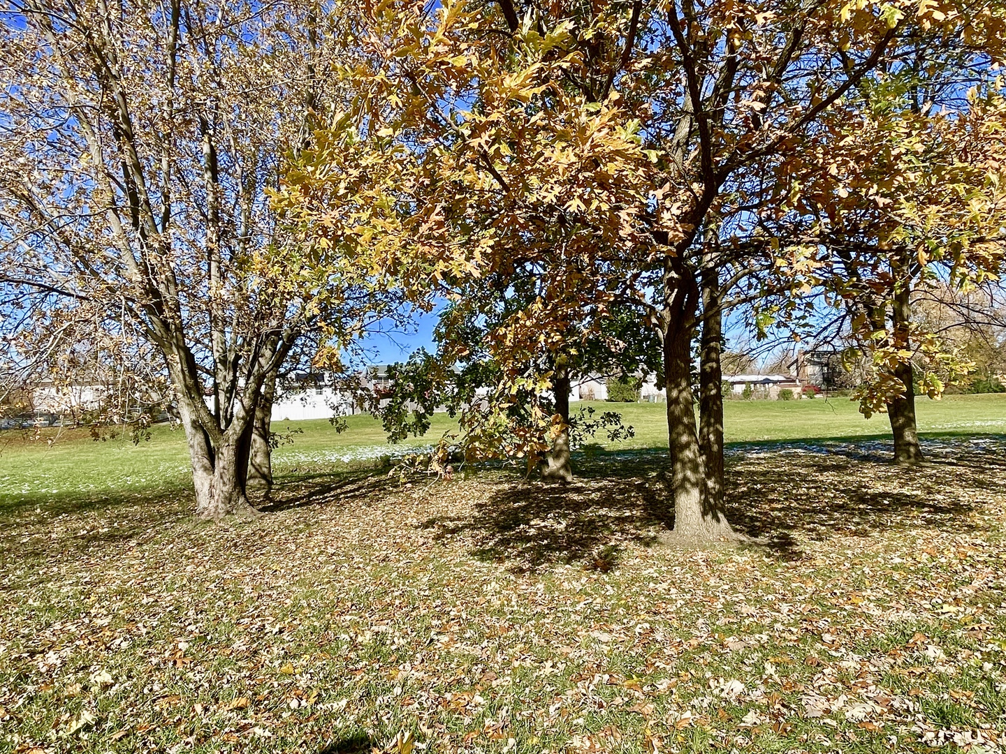 3406 Seine Court, Hazel Crest, IL 60429