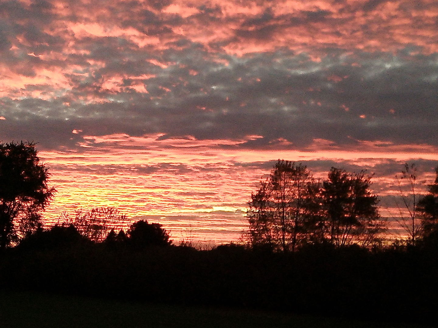 23209 Cals Court, Harvard, IL 60033