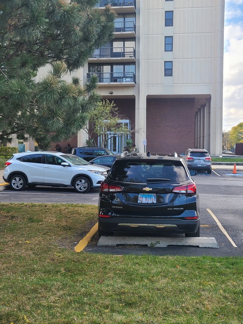 2901 S Michigan Avenue #908, Chicago, IL 60616