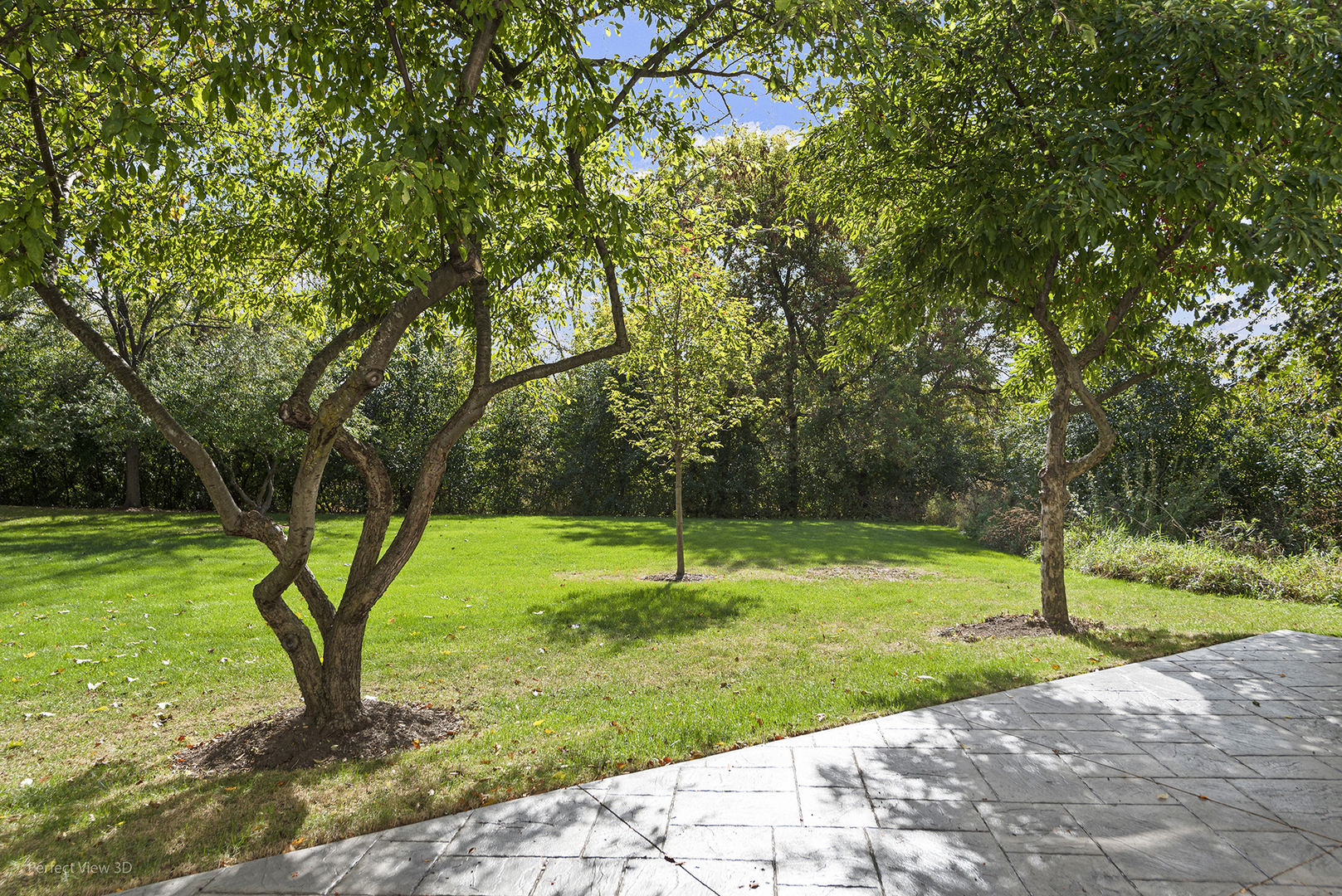 745 Dillon Court, Grayslake, IL 60030