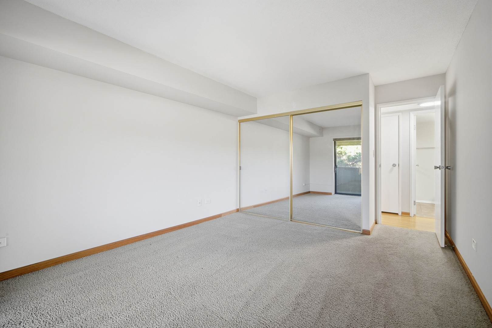 1255 N STERLING Avenue #206, Palatine, IL 60067